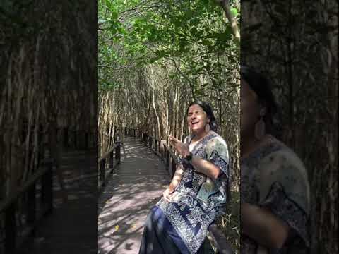 Yaduvamsha Tilakana - Khamas - DV Gundappa