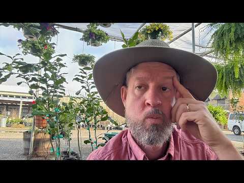 Optimal Tree Planting: Beyond Spring, Think Autumn!