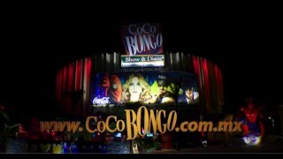 Party hard party CocoBongoStyle