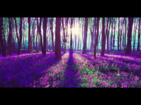 Megaphone-Forest Dementia