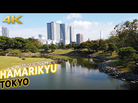 Hamarikyu Garden long sunny walk in TOKYO, Japan [4K ASMR]