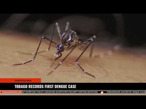 TOBAGO RECORDS FIRST DENGUE CASE
