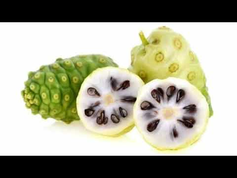 fe remed sa pou kansè oubyen kont konsè oubyen prevansyon kont kansè(Safi creole remed natirel)