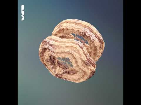 Patrick Ruprecht - Fly With Me (Original Mix)