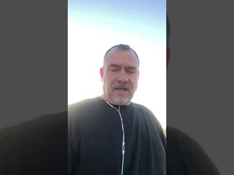 The wolf climbing the hill