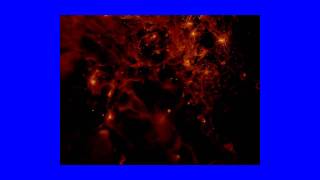 local group time evolution