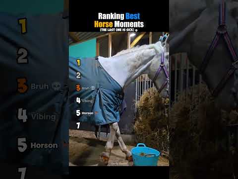 ranking best horse moments #usa