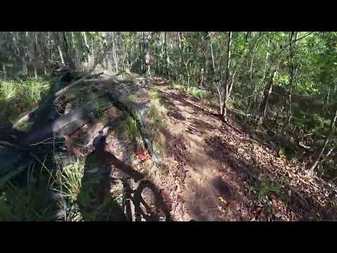 Nerang State Forest MTB 9 Dec 25 - CB