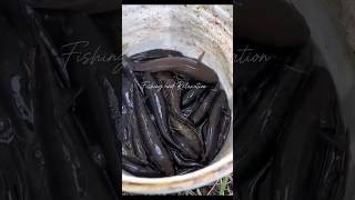 Top 5 địa điểm câu cá đẹp nhất miền Tây