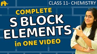 S block elements class 11 one shot |  Chapter 11 - CBSE JEE NEET NCERT Hindi