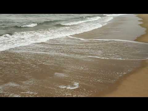 Virgin sea beach in Odisha Chilika partπ