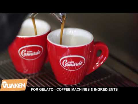 Camardo Coffee Bean for professional cafe shops | TADAVINA