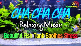 Download lagu New Latin Cha Cha Cha Relaxing Instrumental - Beautiful Cha Cha Melody, Fish Tank Soothes Stress mp3