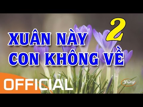 Xuân Này Con Không Về 2 (Karaoke) - Nguyễn Tiến Trung
