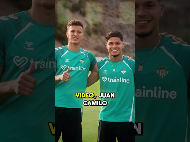 Vídeo relacionado con Real Betis - Edición CUCHO Hernández Camiseta Manga Raglan