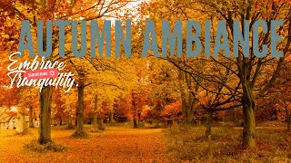 Autumn Ambiance Mindfulness Meditation