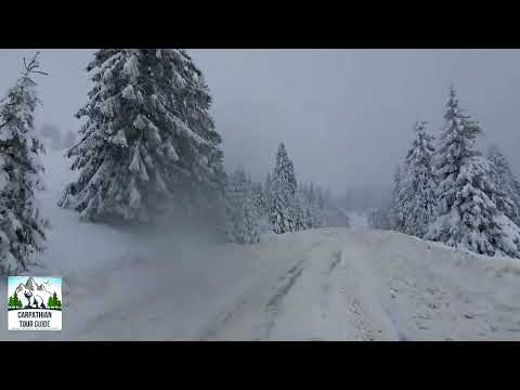 TransBucegi Dichiu Cabana Bolboci(2)