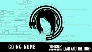 Tincup Prophette (Amanda Kapousouz) - Going Numb