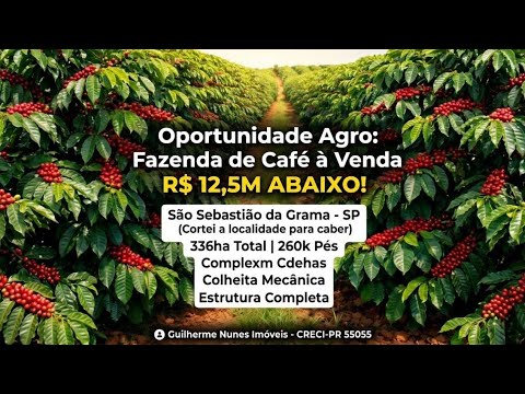 ☕ FAZENDA DE CAFÉ À VENDA: 336ha em São Sebastião da Grama - SP (Oportunidade Única)