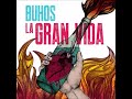 3.- Volcans - Buhos