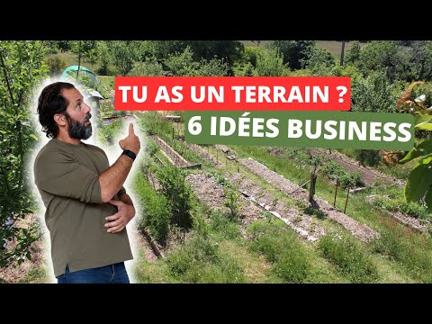Vidéo YouTube