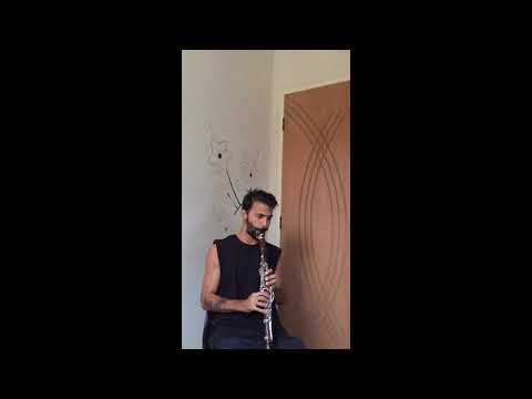 Perfect - Ed Sheeran (Clarinete)