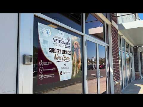 Veterinary Specialists