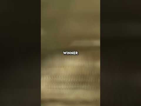 Eren vs Denji | Attack on Titan vs Chainsaw Man