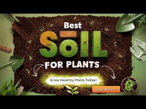 download lagu mp3 mp4 How Much Soil Does A Plant Need To Grow, download lagu How Much Soil Does A Plant Need To Grow gratis, unduh video klip How Much Soil Does A Plant Need To Grow