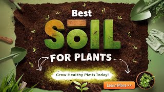 Best Soil For Growing Plants