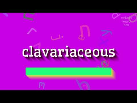 How to say "clavariaceous"! (High Quality Voices)