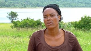 Download lagu Daily SunTV | Is This A Dam Of Death! mp3 Download lagu Daily SunTV | Is This A Dam Of Death! mp3