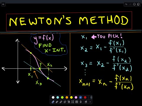 Newton 2024 method calculator