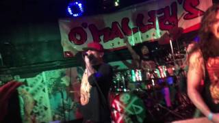 (Hed) P.E. &quot;No Turning Back&quot; @ O&#39;Malley&#39;s in Margate, FL (12/1/2016)