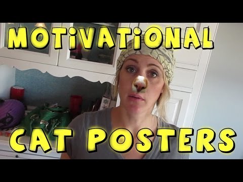 MOTIVATIONAL CAT POSTERS Video