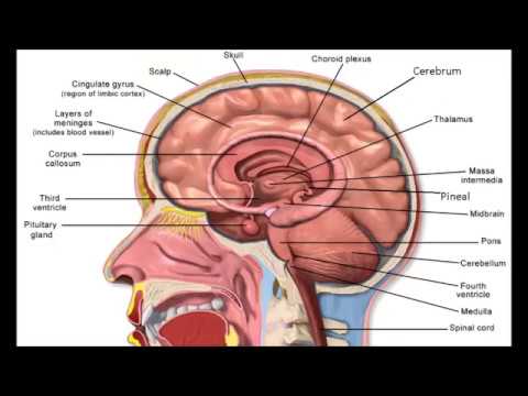 The Sacred Secret Of The Christ Within - Santos Bonacci