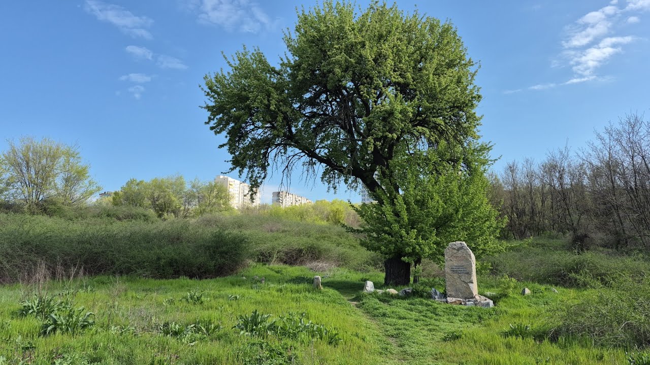Запорожье ЖИВЕТ!!! ТАРАСОВА ГРУША 🍐 НЕОЖИДАННЫЙ ПОВОРОТ!!! 26.04.2026