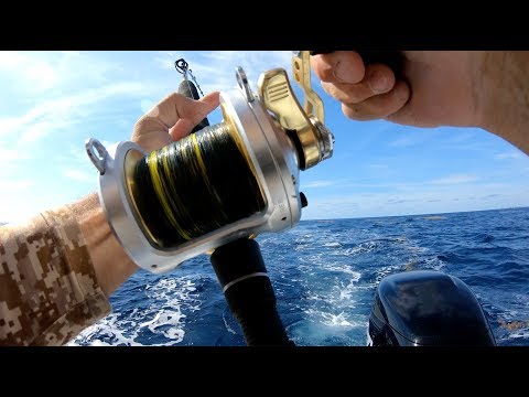 Mahi Mahi {Catch Clean Cook} First day on the new boat!!!