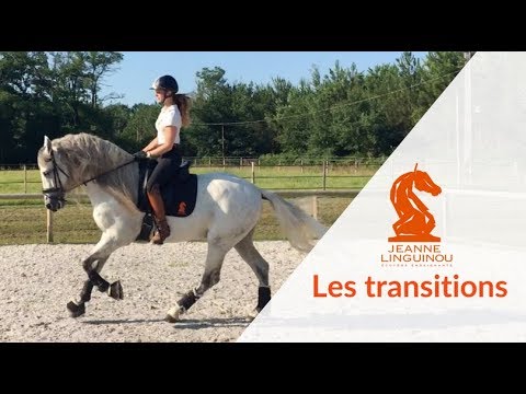 Les transitions - Les tutos de Jeanne Linguinou
