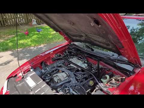 1996 Ford Mustang GT (CC-1801440) for sale in Niagara Falls , Ontario
