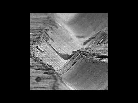 Paralel Disko - Bir Adım Yol