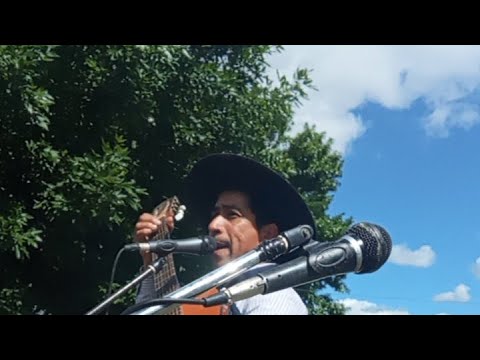 jineteada de Sauce corrientes caballos #jinete #charreada #jaripeo #rodeo#Cowboy