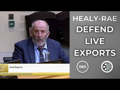 Danny Healy-Rae warns EU rules will end live exports