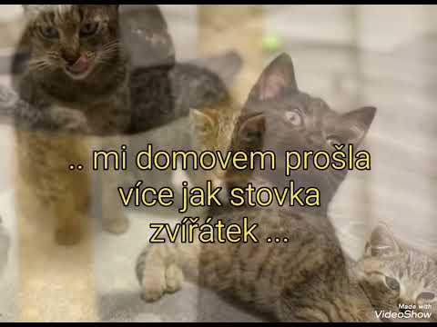 Pomohli jste Barunce na operaci kolen