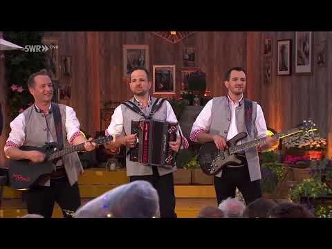 Schlager Medley - Die Fetzig`n aus dem Zillertal - Sommer-Spaß mit Andy Borg