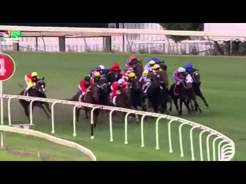 STRADBROKE HANDICAP 2015  - Srikandi