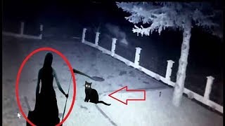 Este Vídeo Demuestra Que las Brujas Existen y se Convierten en Gatos (Pacto Con el Diablo)