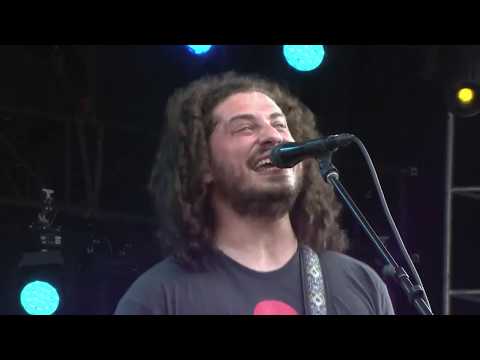 Sail On - Pigeons Playing Ping Pong