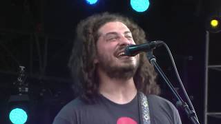 Sail On - Pigeons Playing Ping Pong