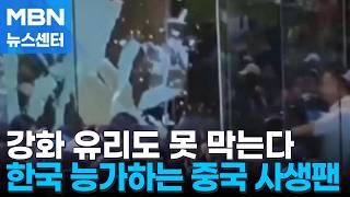 비즈니스석도, 강화 유리도 못 막아…한국 뺨치는 중국 사생팬 [MBN 뉴스센터]